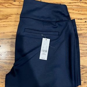 New York & Company pants